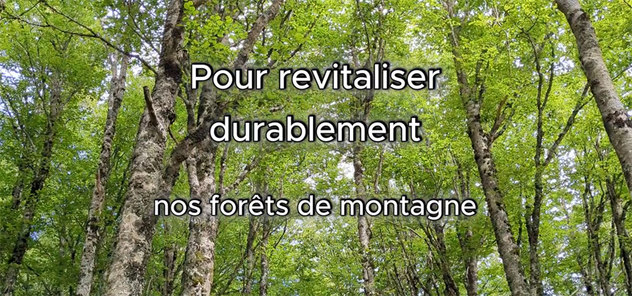 COMMENT RELANCER LA GESTION DE NOTRE FORET DE MONTAGNE?
