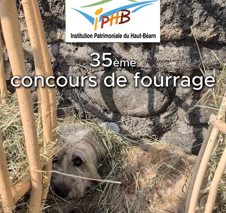 35ème concours de fourrage